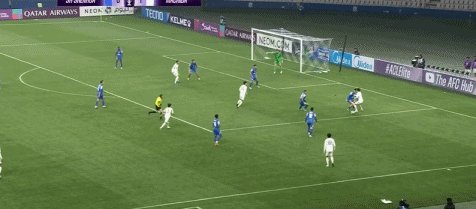 申花.gif